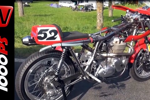 Zonkos Corner-Triumph Metisse