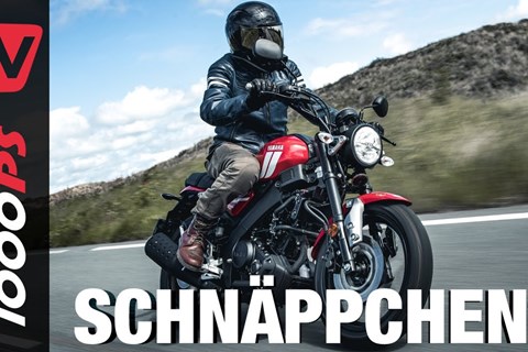 Preis-Leistungs-Sieg in der A1-Klasse? - Yamaha XSR125 Test 2021