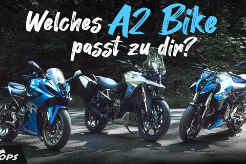 Welche Suzuki 800er für A2 Führerschein? V-Strom 800, GSX-8S & GSX-8R im Vergleich!