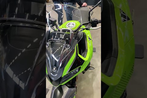 Wie gefällt euch so ein Grün? 🟢 #intermot2024