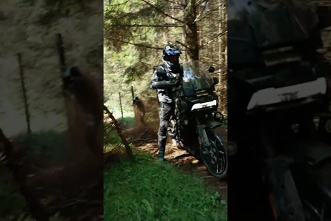 Große Bikes, großer Spaß? #shorts #harleydavidson #panamerica