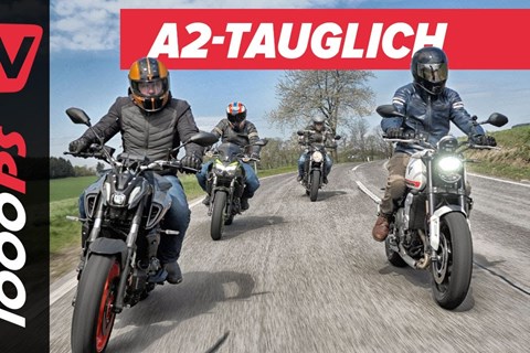 Kleine Naked Bikes - großer Fahrspaß! Kawasaki Z650, Suzuki SV650,Triumph Trident 660, Yamaha MT-07