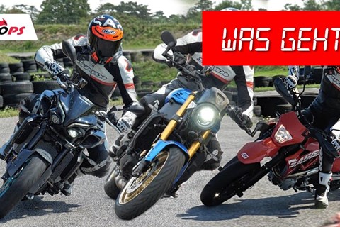 Best of Bestzeit! 50 Motorräder im Vergleich