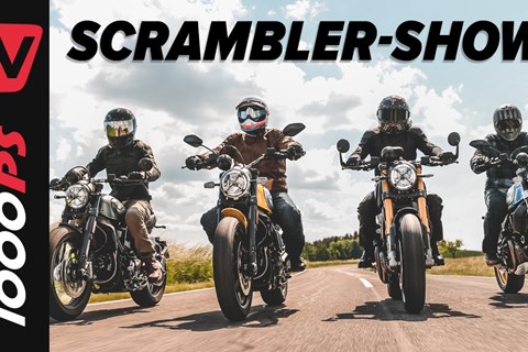So gleich und doch verschieden! - Ducati Scrambler Vergleich 2021