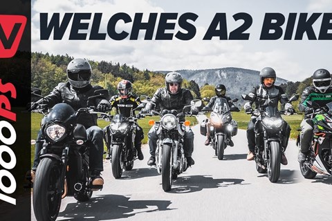 Welches A2 Motorrad soll ich kaufen? - Kategorien im Überblick anhand der Kawasakipalette 2021
