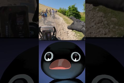 Rally fahren ist spaßig haben Sie gesagt 🙃 #shorts #bosniarally