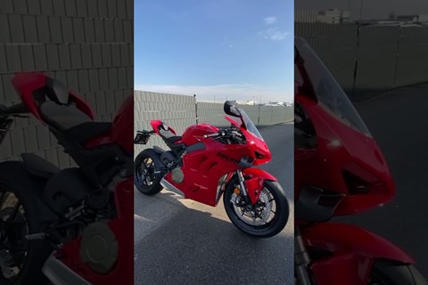 Dann doch lieber die Ducati 🏍️#shorts # motorcycle #ducati