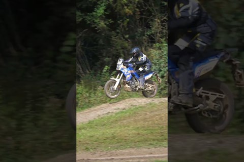 Die beste Halterung für dein Handy! #peakdesign #werbung