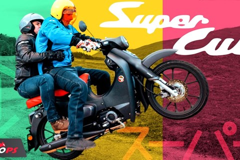 Reicht die Zuladung? Honda Super Cub C125 Test 2022