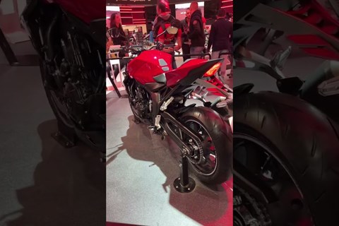 Die neue CB1000 Hornet ! #shorts #honda