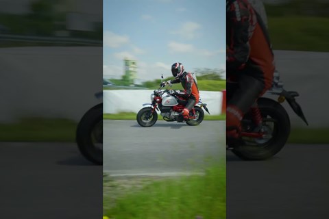 Wenn die Redaktion auf die Sumo Strecke losgelassen wird 😂 #shorts