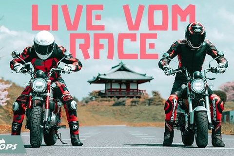 Honda Dax und Monkey 4h Endurance Race LIVE!
