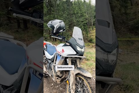 Honda Transalp 2025 im ersten Test #honda #transalp
