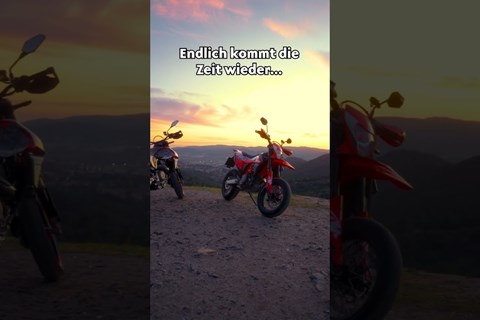 warme Sommernächte 😍 #shorts